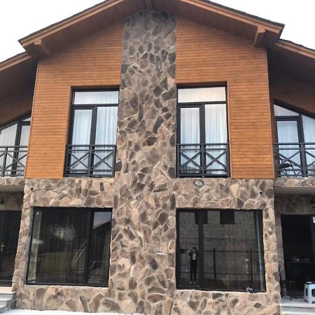 Bakuriani Cozy Villa #4 Exterior photo